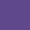 304 Shiny Violet
